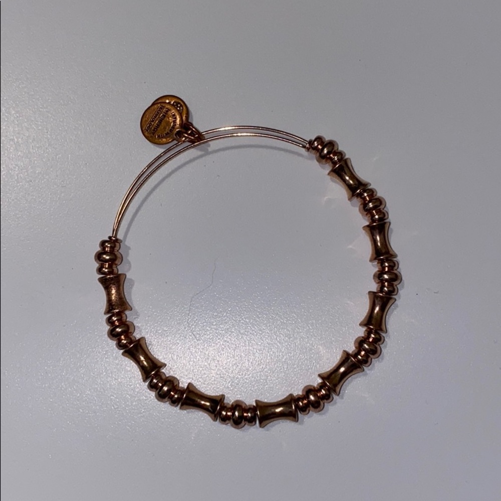 Alex and ani bangle